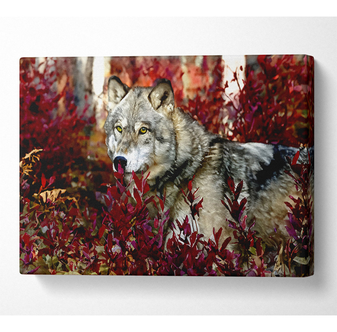 Grauer Wolf - Kunstdrucke auf Leinwand - Wrapped Canvas