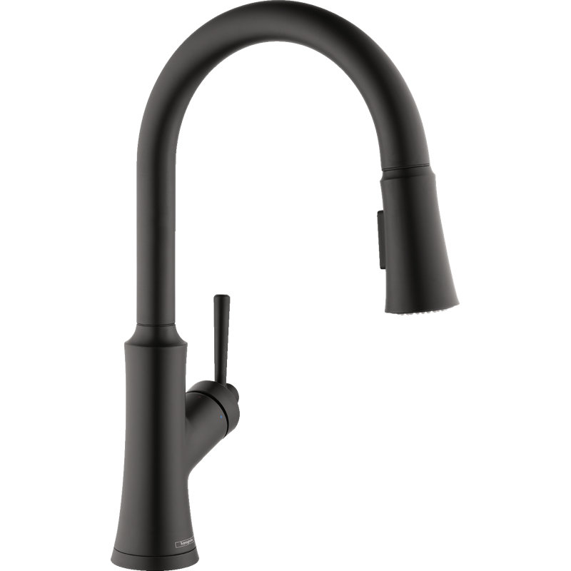 Robinet de cuisine à poignée simple Joleena, Noir mat