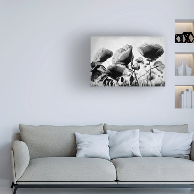Bolog Tina Lavoie Quicksilver Canvas Art