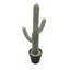 Cactus artificiel en pot Mari-374039797
