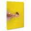 Ladybird - Wrapped Canvas-55365896