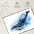 Brampt Aquatic Dolphin-107848739