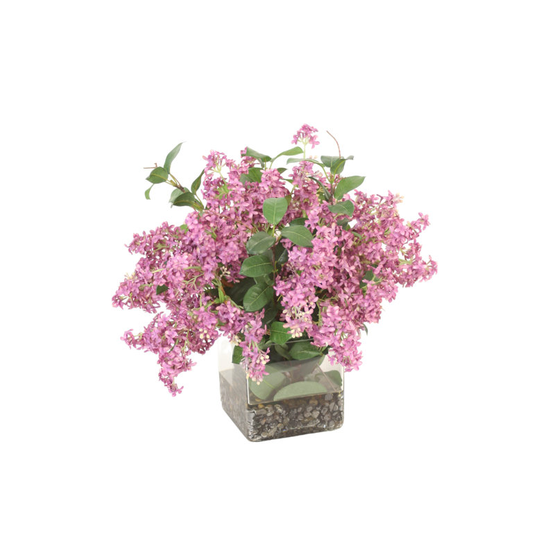 Lilas violet foncé dans un vase carré
