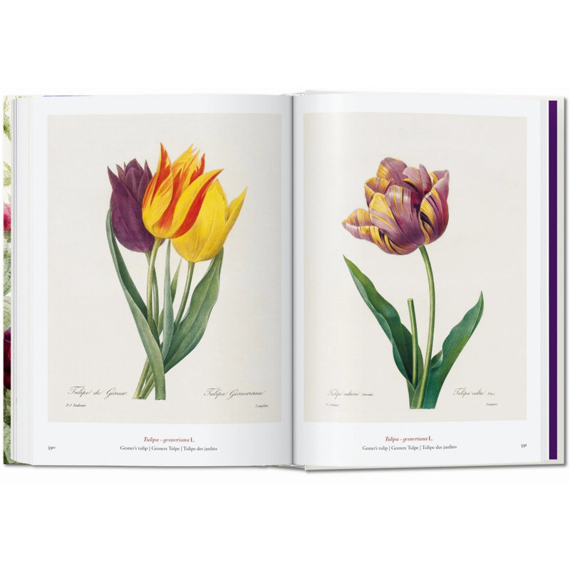 Redouté. The Book of Flowers. 45th Ed.