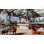 Djogo Bar Stool-41692713-125122083