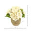 Arrangement floral d'hortensias d'automne Carytown-520612865