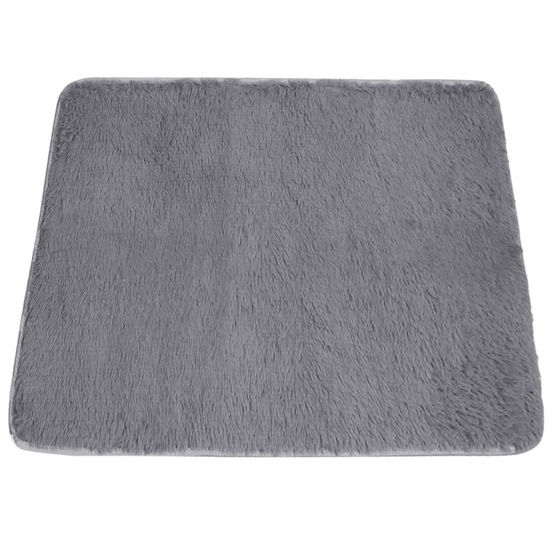 Erxhan Indoor Rug, Rectangle 2'7" x 4'