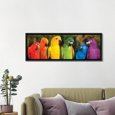 " Rainbow Parrots " by Mike Jones