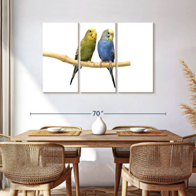 Parakeets
