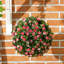 Anslem 28cm Faux Rose Plant in Freestanding-444001756