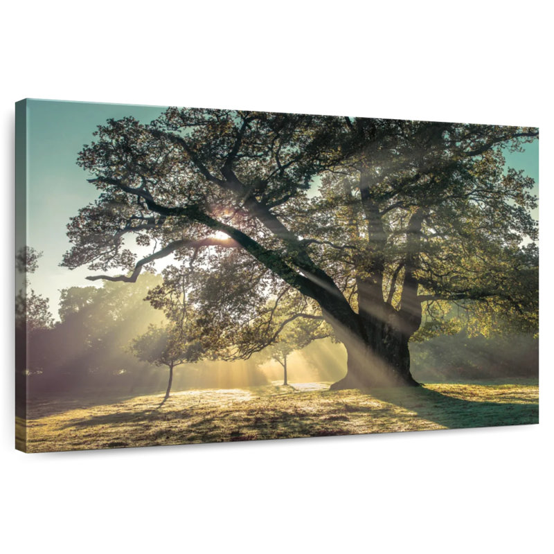 Harnek Breaking Through The Tree, 8" H x 12" W