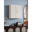 Armoire murale 24 po Shaker