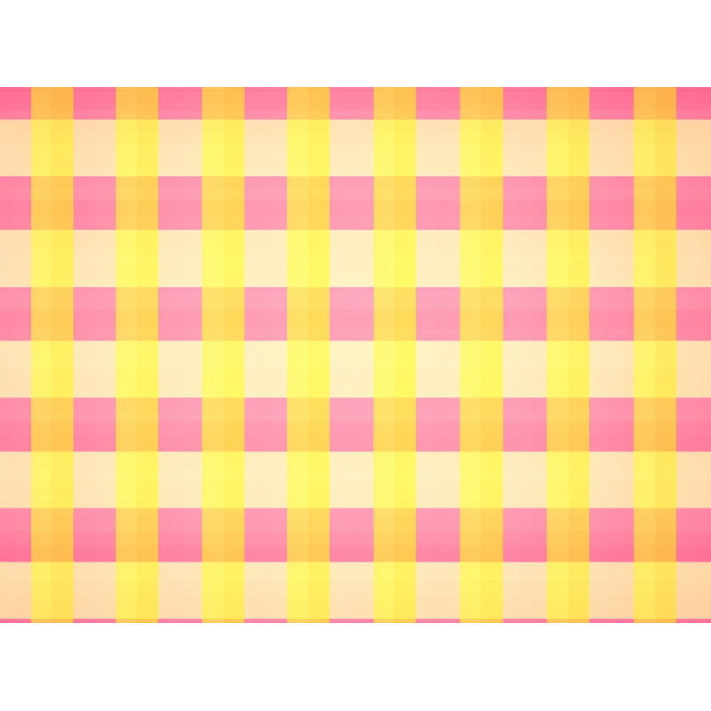Rideau de douche Seliana Gingham, H 84 po x l 70 po