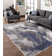 Allesan Performance Abstract Indoor Rug