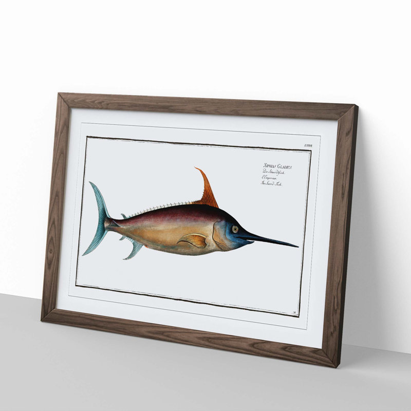 Swordfish - Picture Frame Art Prints, 27cm H x 36cm W x 2cm D, Walnut Framed