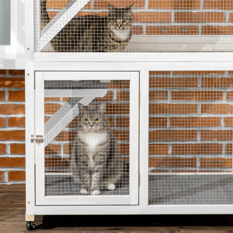 Maison d'extérieur en bois pour chat