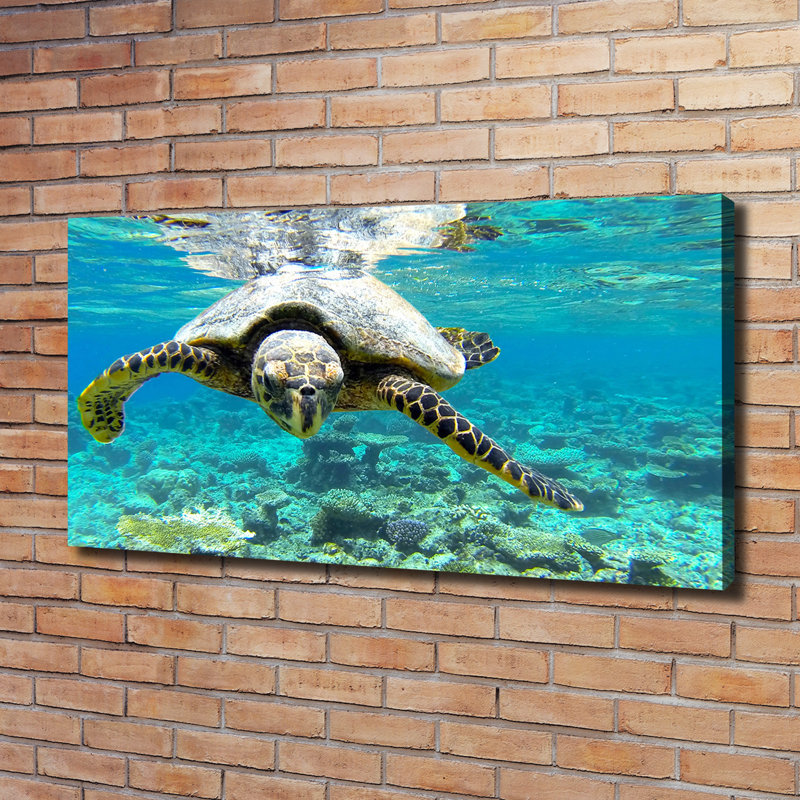 Sea Turtle - Wrapped Canvas Print