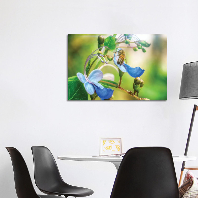 Bee Flower by Glauco Meneghelli - Wrapped Canvas Print, 101.6 cm H x 66.04 cm W x 1.91 cm D