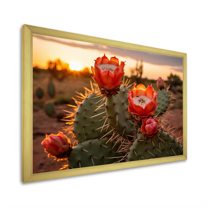 Champ de cactus rouge et vert avec coucher de soleil II - impression, H 24 po x l 32 po x P 1 po, Encadrement doré