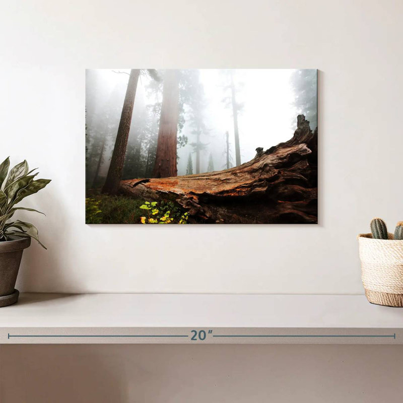 Harnek Fallen Sequoia Tree, 8" H x 12" W