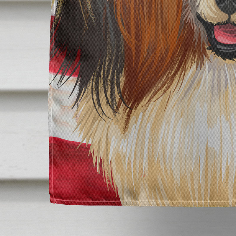 Polyester à 2 côtés 28 x 40 po drapeau maison, Phalène