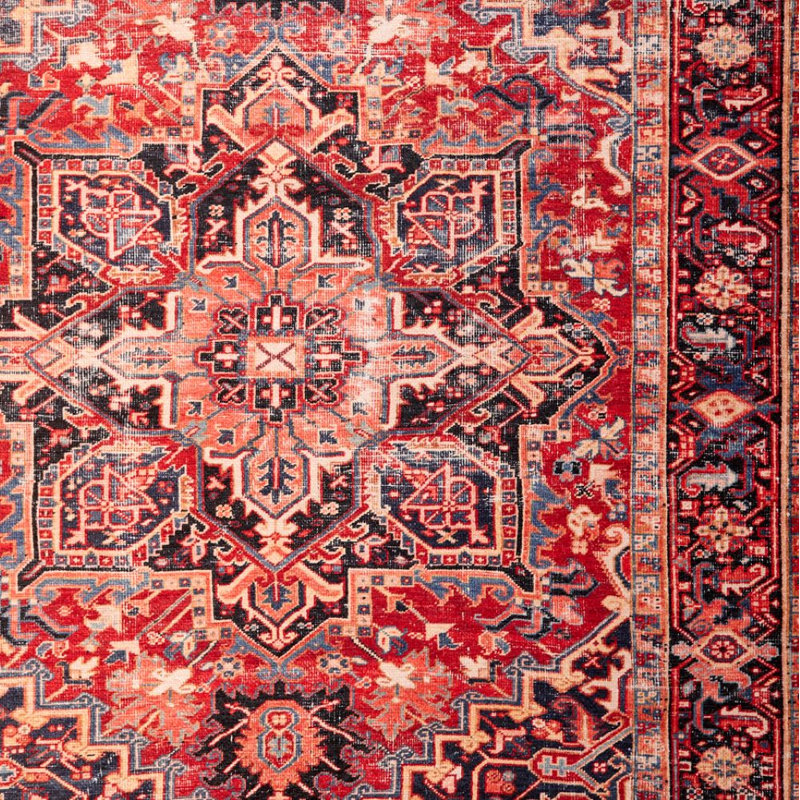Larrick Machine Washable Heriz Boho Powerloomed Rug, Rectangle 3'9" x 5'6"