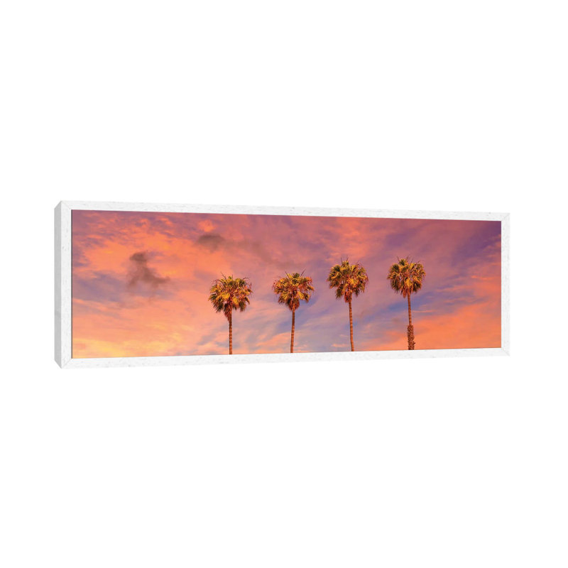 Palm Trees Sunset by Melanie Viola - Panoramic Print on Canvas, White Framed, 30.48cm H x 91.44cm W x 3.81cm D