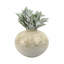 Vase de table rond en céramique avec finition dégradée émaillée - beige et vert-1794226901