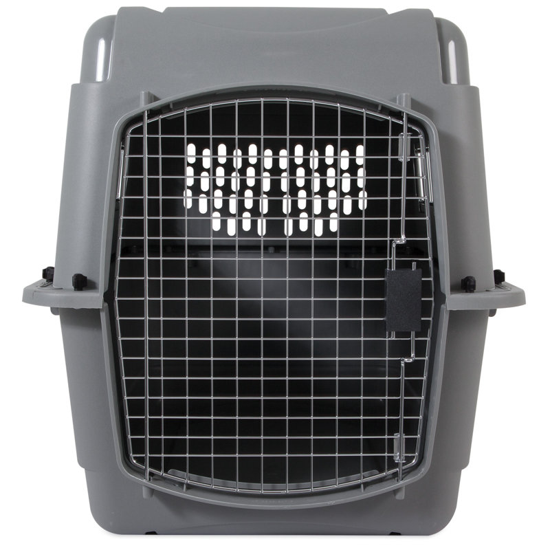 Gray Airline Approved Plastic Pet Carrier with Wire Door