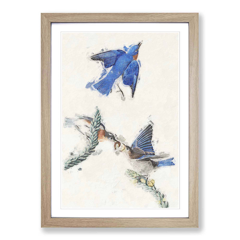 Bluebirds by John Audubon - Picture Frame Painting Print, Oak Framed, 48cm H x 36cm W x 2cm D