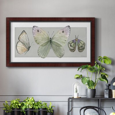 " Pretty Insects II "