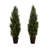 Artificial Cedar Pine Tree UV Resistant (Indoor/Outdoor) - Set of 2-1915890093