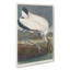 Wood Stork by John Audubon - Wrapped Canvas Painting-55319971