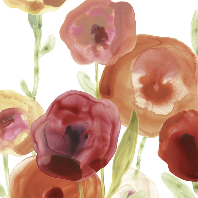 Poppy Patch I by June Erica Vess - Wrapped Canvas Painting, 51cm H x 51cm W