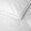 Prestige Goose Down Comforter-1435474932