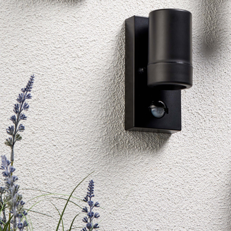 Metoyer 15.2cm H Outdoor Armed Sconce