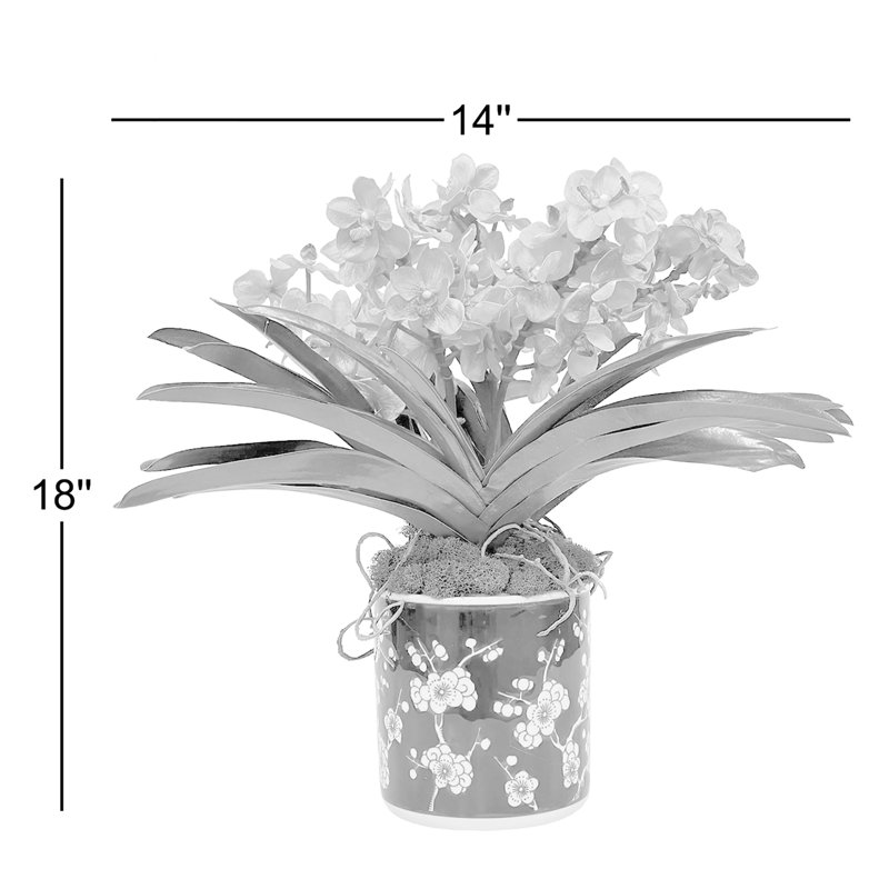 Vanda Orchid In Blossom Pot