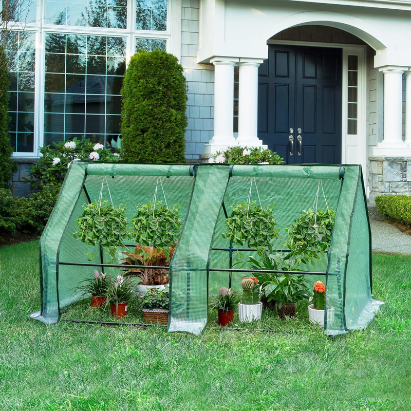 Braea 6 Ft W x 3 Ft D Mini Greenhouse, Green