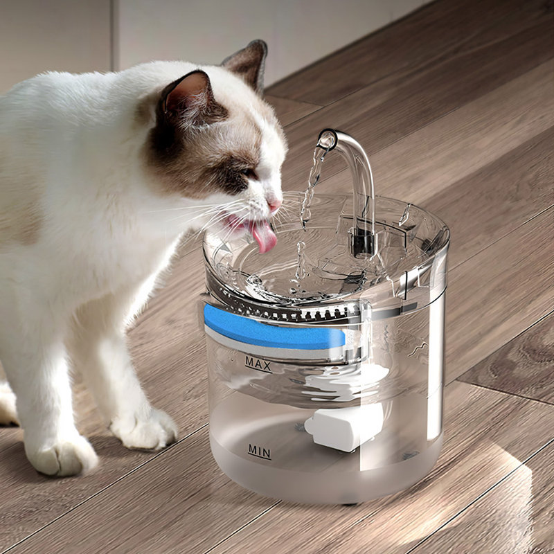Pet Fountain