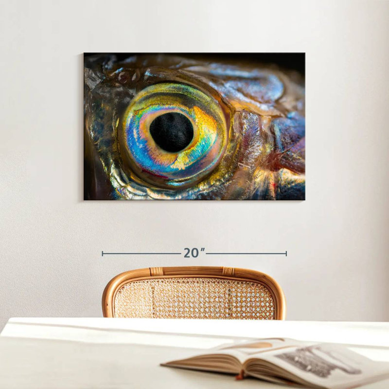 Brampt Iridescent Fish Eye, 16'' H x 24'' W