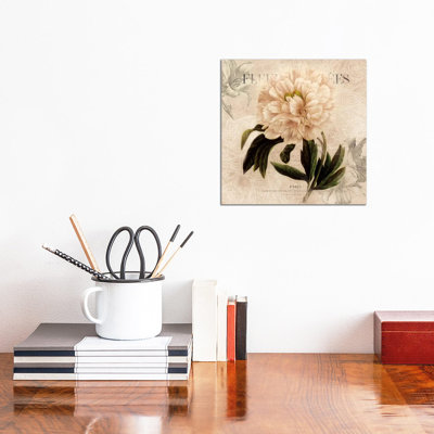 White Peony II 1 Piece Painting on Canvas