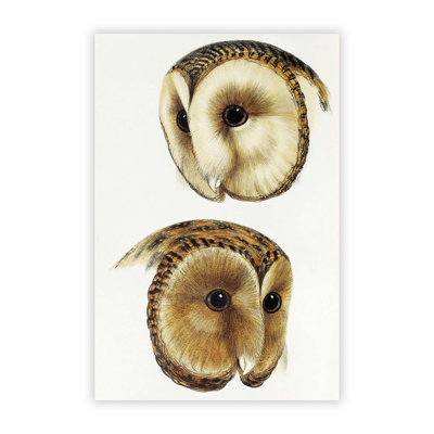 Two Owls - No Frame Print