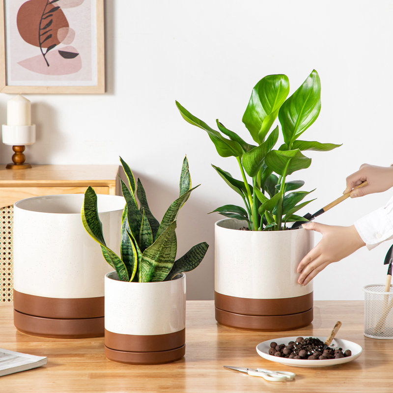 FLHPOT Ceramic Pot Planter, Khaki