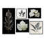 Feuille de chêne noir onyx - ensemble de 5 reproductions d'art sur toile-711124313