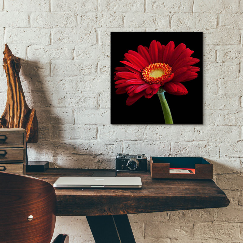 "Red Gerbera On Black 01" par Tom Quartermaine, H 12 po x l 12 po x P 0,13 po