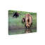 Art sur toile «ologic Renee Doyle »-109345006