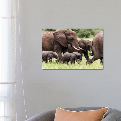 Babies 1 Piece Wrapped Canvas Wall Art
