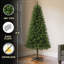 Arbre de Noël artificiel non éclairé 6 pi avec 490 pointes, vert classique pour la décoration intérieure, assemblage facile et personnalisable