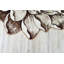Tapis botanique à motif floral rose Burbach-882352124