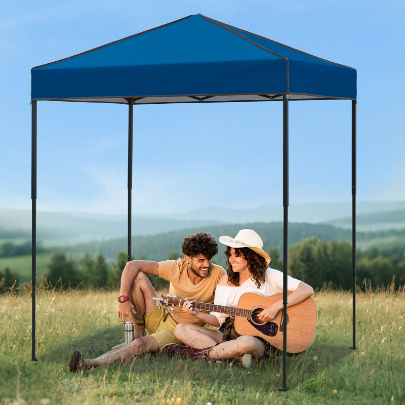 6x4 Canopy Tent, Heavy Duty Pop up Canopy with Carry Bag, Dark Blue
